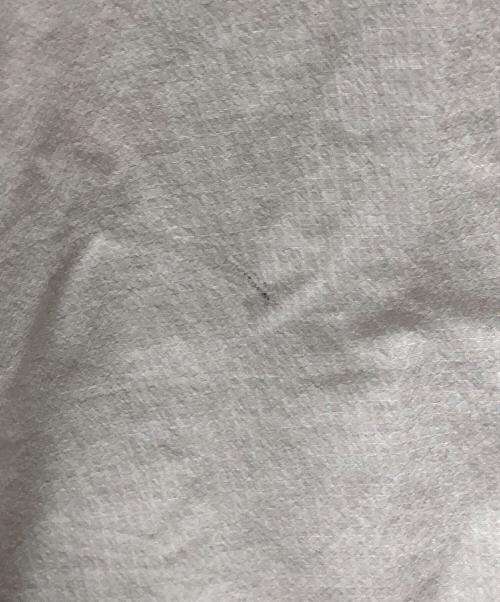 THE NORTH FACE（ザ ノース フェイス）THE NORTH FACE (ザ ノース フェイス) ナイロンジャケット スワローテイルフーディ ライトグレー サイズ:Lの古着・服飾アイテム