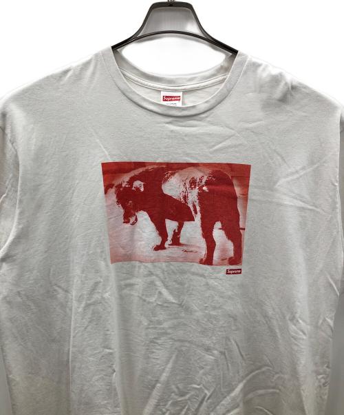 SUPREME（シュプリーム）SUPREME (シュプリーム) プリントTシャツ Daido Moriyama Dog Tee(ダイドー モリヤマ ドッグ ティー) ホワイト サイズ:XLの古着・服飾アイテム