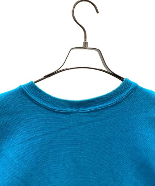 Champion REVERSE WEAVE（チャンピオン リバース ウィーブ）Champion REVERSE WEAVE (チャンピオン リバース ウィーブ) スウェット スカイブルー サイズ:Lの古着・服飾アイテム