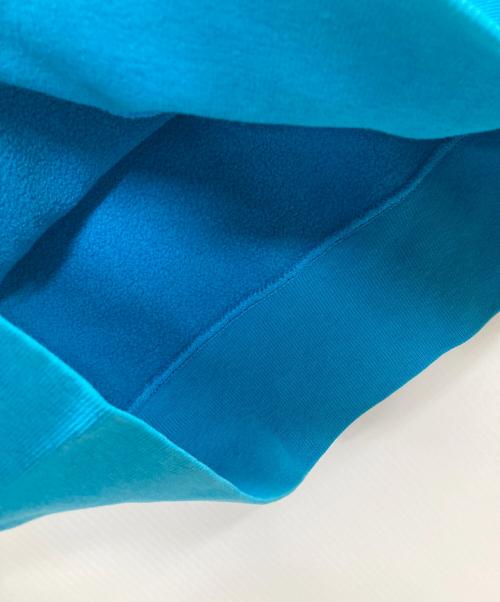 Champion REVERSE WEAVE（チャンピオン リバース ウィーブ）Champion REVERSE WEAVE (チャンピオン リバース ウィーブ) スウェット スカイブルー サイズ:Lの古着・服飾アイテム