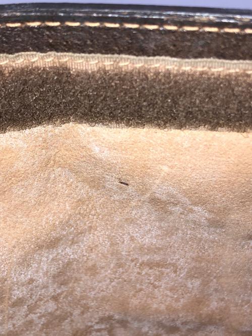 GUCCI（グッチ）GUCCI (グッチ) クラッチバッグ ベージュ サイズ:実寸サイズにてご確認ください。の古着・服飾アイテム