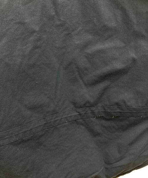 THE NORTH FACE（ザ ノース フェイス）THE NORTH FACE (ザ ノース フェイス) ダウンジャケット MCMURDO PARKA(マクマードパーカ) ブルー サイズ:Lの古着・服飾アイテム