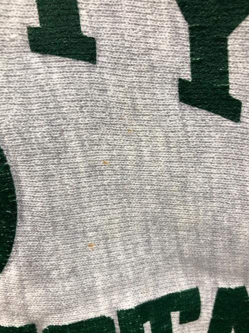 Champion（チャンピオン）Champion (チャンピオン) 80s リバースウィーブスウェット UNIVERSITY NORTH DAKOTA（ユニバーシティ ノース ダコタ） グレー サイズ:MEDIUMの古着・服飾アイテム