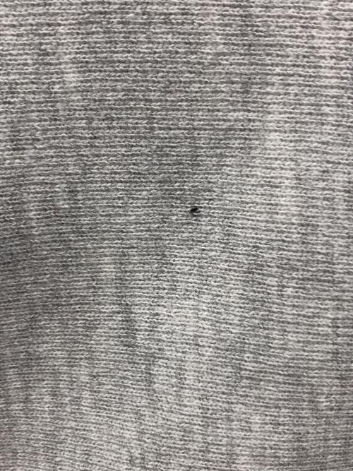 Champion（チャンピオン）Champion (チャンピオン) 90s リバースウィーブスウェット ARIZONA STATE（アリゾナ ステート） グレー サイズ:X-LARGEの古着・服飾アイテム