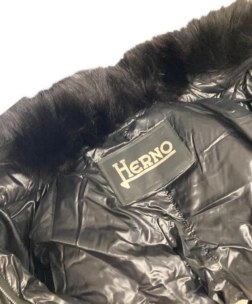 HERNO（ヘルノ）HERNO (ヘルノ) ダウンジャケット ブルー サイズ:44の古着・服飾アイテム