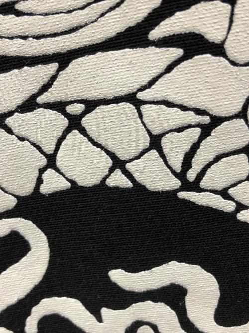 stussy（ステューシー）stussy (ステューシー) プルオーバーパーカー DRAGON HOODIE（ドラゴン フーディ） ブラック サイズ:Sの古着・服飾アイテム