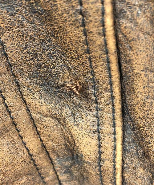 Wind Armor（ウィンドアーマー）Wind Armor (ウィンドアーマー) フライトジャケット ブラウン サイズ:Lの古着・服飾アイテム