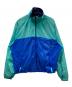 Patagonia（パタゴニア）の古着「ナイロンジャケット」｜ブルー×グリーン
