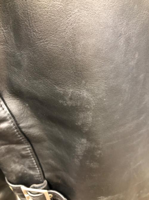 Schott（ショット）Schott (ショット) シングルライダースジャケット ブラック サイズ:36の古着・服飾アイテム