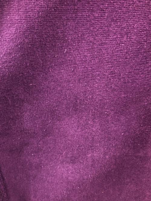 Champion REVERSE WEAVE（チャンピオン リバース ウィーブ）Champion REVERSE WEAVE (チャンピオン リバース ウィーブ) スウェット パープル サイズ:LARGEの古着・服飾アイテム