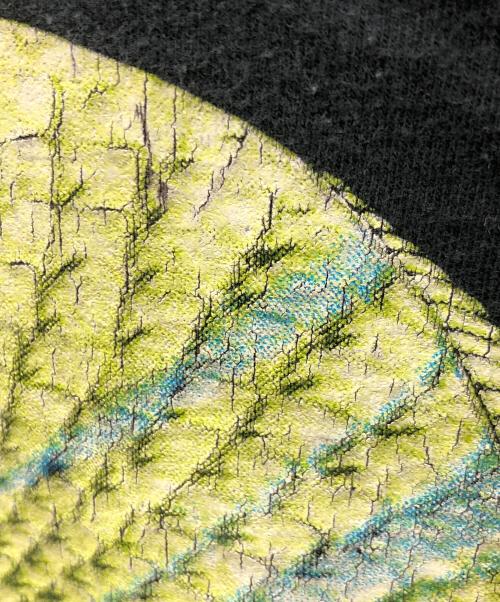 FRUIT OF THE LOOM（フルーツオブザルーム）FRUIT OF THE LOOM (フルーツオブザルーム) 半袖カットソー ブラック サイズ:L/G/Gの古着・服飾アイテム