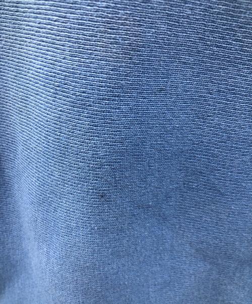 Champion（チャンピオン）Champion (チャンピオン) スウェット リバースウェーブ ブルー サイズ:LARGEの古着・服飾アイテム