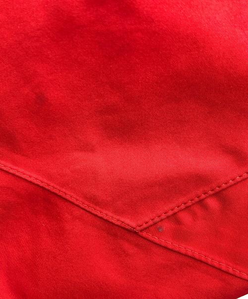 THE NORTH FACE（ザ ノース フェイス）THE NORTH FACE (ザ ノース フェイス) マウンテンパーカー オールマウンテンジャケット サミットシリーズ レッド サイズ:Lの古着・服飾アイテム