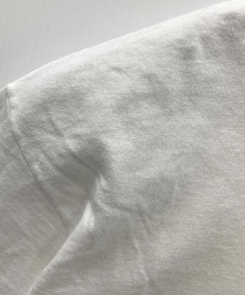 stussy（ステューシー）stussy (ステューシー) APPLEBUM (アップルバム) 半袖カットソー ホワイト サイズ:Lの古着・服飾アイテム