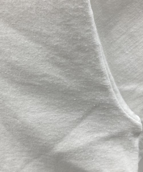 stussy（ステューシー）stussy (ステューシー) APPLEBUM (アップルバム) 半袖カットソー ホワイト サイズ:Lの古着・服飾アイテム