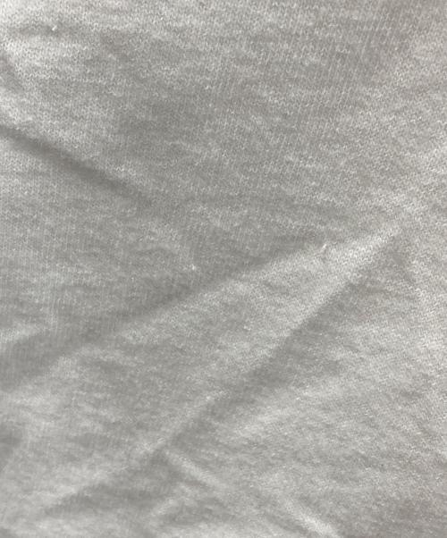 stussy（ステューシー）stussy (ステューシー) APPLEBUM (アップルバム) 半袖カットソー ホワイト サイズ:Lの古着・服飾アイテム