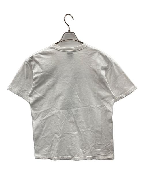 stussy（ステューシー）stussy (ステューシー) APPLEBUM (アップルバム) 半袖カットソー ホワイト サイズ:Lの古着・服飾アイテム