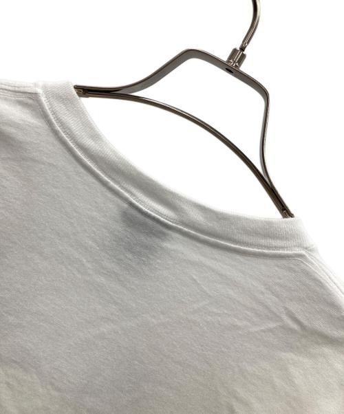 stussy（ステューシー）stussy (ステューシー) APPLEBUM (アップルバム) 半袖カットソー ホワイト サイズ:Lの古着・服飾アイテム