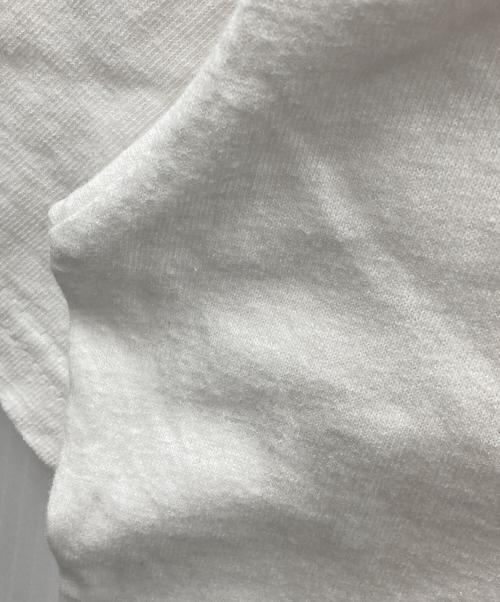 stussy（ステューシー）stussy (ステューシー) APPLEBUM (アップルバム) 半袖カットソー ホワイト サイズ:Lの古着・服飾アイテム
