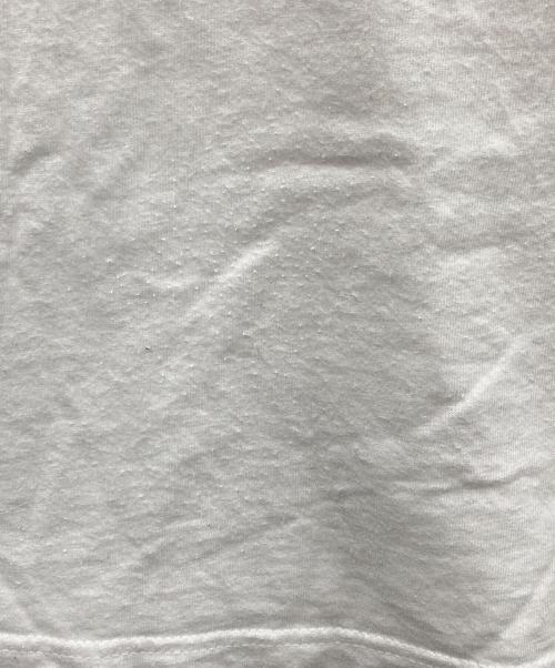 stussy（ステューシー）stussy (ステューシー) APPLEBUM (アップルバム) 半袖カットソー ホワイト サイズ:Lの古着・服飾アイテム