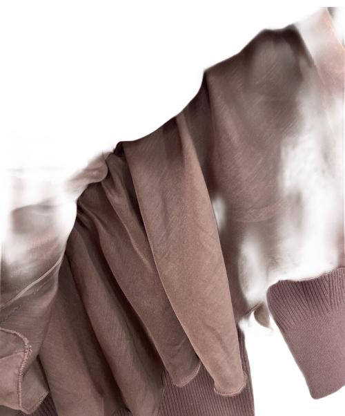 Snidel（スナイデル）Snidel (スナイデル) フリルドッキングニットプルオーバー ブラウン サイズ:F 未使用品の古着・服飾アイテム