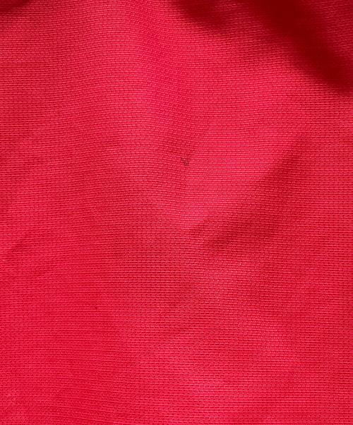 POLO SPORT（ポロスポーツ）POLO SPORT (ポロスポーツ) アノラックパーカー レッド サイズ:Lの古着・服飾アイテム