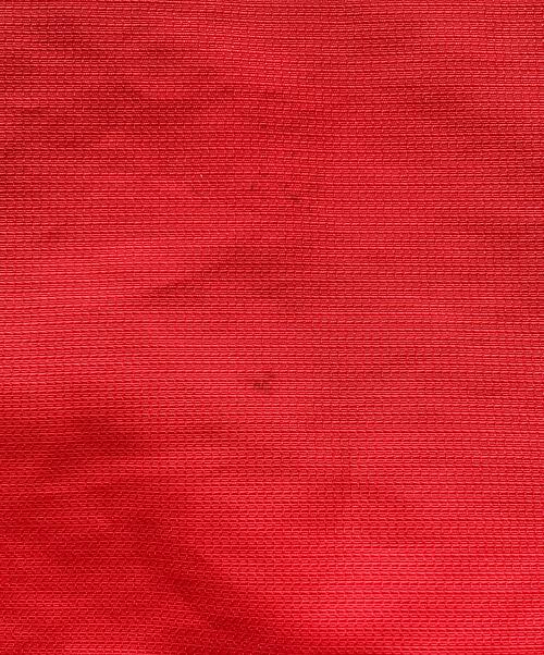 POLO SPORT（ポロスポーツ）POLO SPORT (ポロスポーツ) アノラックパーカー レッド サイズ:Lの古着・服飾アイテム