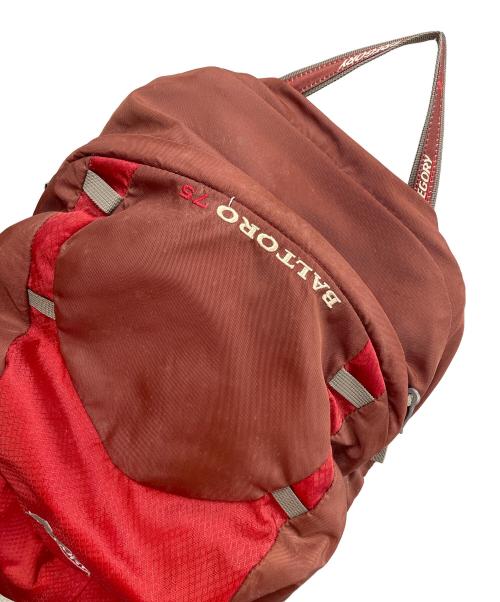 GREGORY（グレゴリー）GREGORY (グレゴリー) バックパック レッド サイズ:Mの古着・服飾アイテム