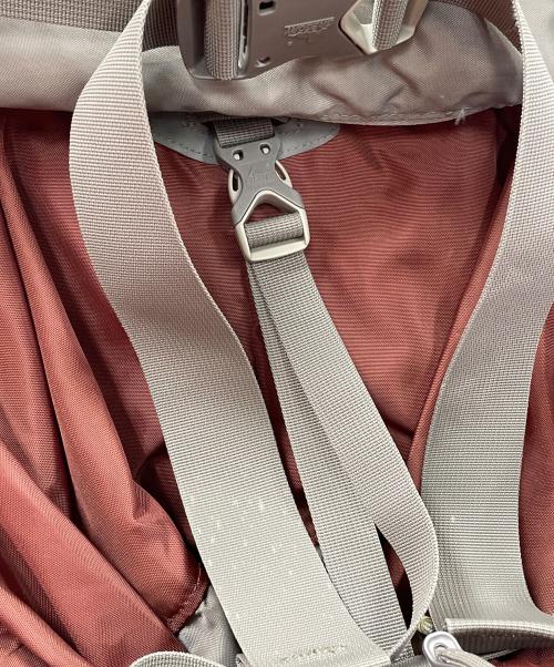 GREGORY（グレゴリー）GREGORY (グレゴリー) バックパック レッド サイズ:Mの古着・服飾アイテム