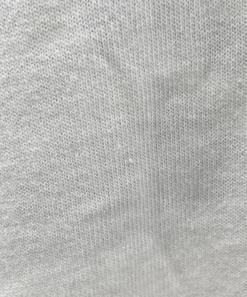 FRUIT OF THE LOOM（フルーツオブザルーム）FRUIT OF THE LOOM (フルーツオブザルーム) tina turner (ティナ・ターナー) アーティストTシャツ World Tour 1993（ワールド ツアー 1993） ホワイト サイズ:XLの古着・服飾アイテム