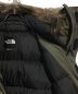 中古・古着 THE NORTH FACE (ザ ノース フェイス) ANTARCTICA PARKA グリーン サイズ:M：48000円