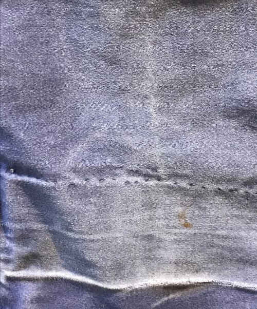 REAL AIGLON（リアルエイグロン）REAL AIGLON (リアルエイグロン) モールスキンオーバーオール ブルー サイズ:記載なしの古着・服飾アイテム