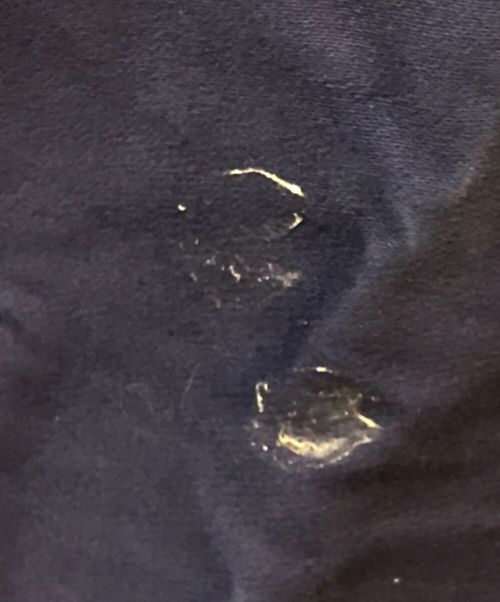 A ST. MICHEL（A ST. MICHEL）A ST. MICHEL (A ST. MICHEL) モールスキンオーバーオール ブルー サイズ:48の古着・服飾アイテム