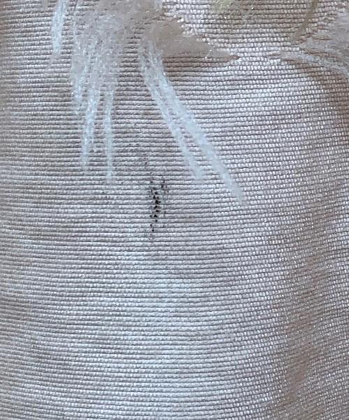 CELFORD（セルフォード）CELFORD (セルフォード) ジャカードフレアスカート ピンク サイズ:Ｓの古着・服飾アイテム