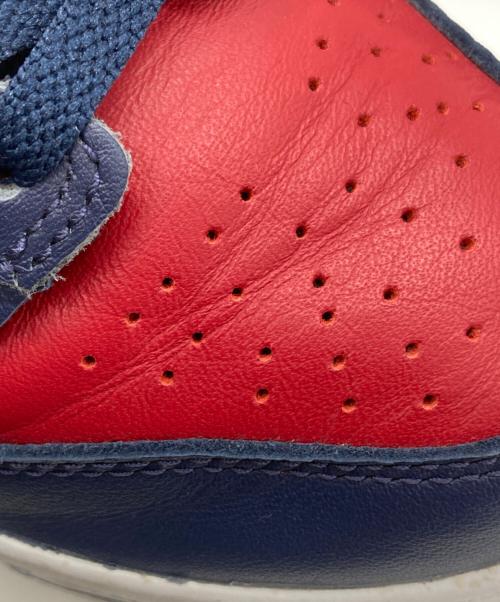 NIKE SB（ナイキエスビー）NIKE SB (ナイキエスビー) Supreme (シュプリーム) Dunk High By Any Means レッド サイズ:24cmの古着・服飾アイテム