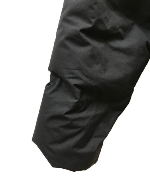 THE NORTH FACE（ザ ノース フェイス）THE NORTH FACE (ザ ノース フェイス) ビレイヤーパーカ ブラック サイズ:Lの古着・服飾アイテム