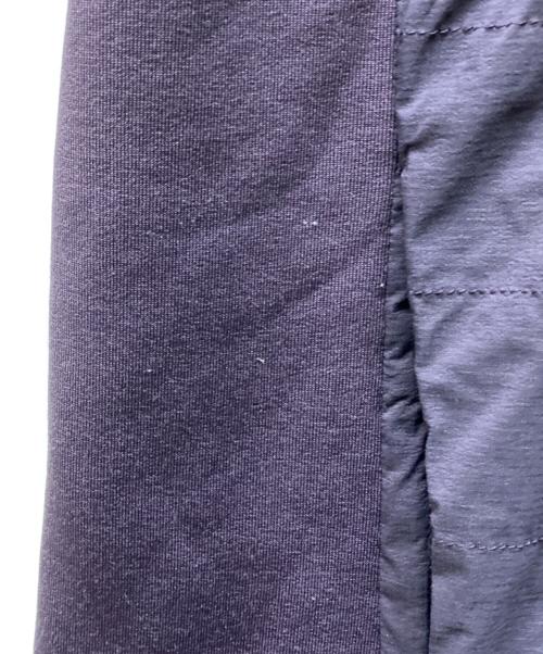 THE NORTH FACE（ザ ノース フェイス）THE NORTH FACE (ザ ノース フェイス) Red Run Hoodie パープル サイズ:Mの古着・服飾アイテム