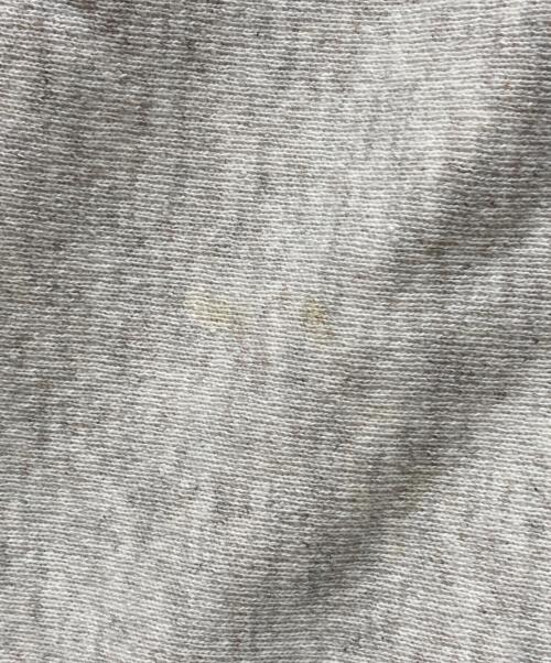 Champion（チャンピオン）Champion (チャンピオン) リバースウィーブスウェット グレー×パープル サイズ:Lの古着・服飾アイテム