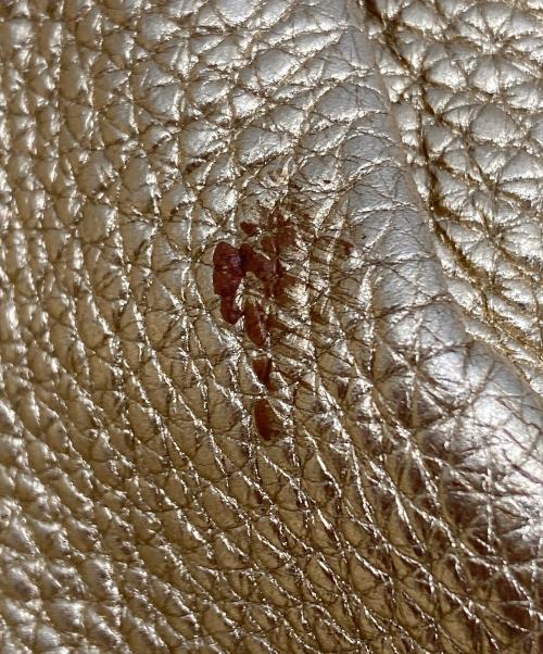 PRADA（プラダ）PRADA (プラダ) ハンドバッグ ゴールドの古着・服飾アイテム