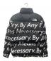 THE NORTH FACE (ザ ノース フェイス) Supreme (シュプリーム) FACE BY ANY MEANS NUPTSE JACKET 