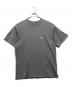 NIKE ACG（ナイキエーシージー）の古着「00sロゴプリントTシャツ」｜ブルー