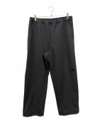 THE NORTH FACEザ ノース フェイス）の古着「ヴェイグラントロングパンツ」｜グレー
