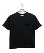 Icebreakerアイスブレーカー）の古着「Merino 150 Vintage Dye SS Tee」｜ブラック