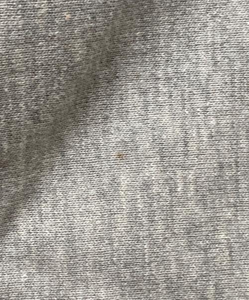 Champion（チャンピオン）Champion (チャンピオン) REVERSE WEAVE プリントフーディ グレー×パープル サイズ:Lの古着・服飾アイテム