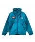 THE NORTH FACE（ザ ノース フェイス）の古着「Trans Antarctica Fleece Jacket」｜ブルー