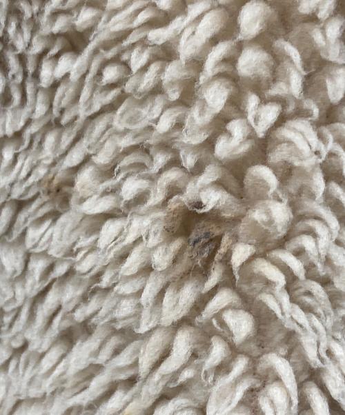 Patagonia（パタゴニア）Patagonia (パタゴニア) レトロカーディガン ベージュ サイズ:Mの古着・服飾アイテム