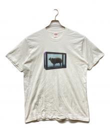 SUPREME（シュプリーム）の古着「DAMIEN HIRST TEE」｜ホワイト