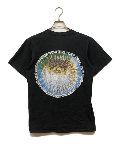 SUPREME（シュプリーム）Supreme (シュプリーム) Blowfish Tee ブラック サイズ:Sの古着・服飾アイテム