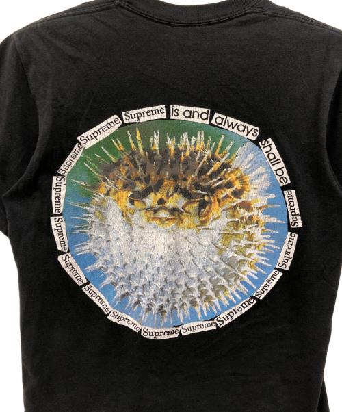 SUPREME（シュプリーム）Supreme (シュプリーム) Blowfish Tee ブラック サイズ:Sの古着・服飾アイテム
