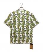 THE NORTH FACE×SUPREMEザ ノース フェイス×シュプリーム）の古着「Leaf S/S T-shirt」｜グリーン